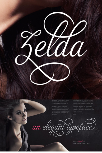 Kit Graphique #65619 Font Typeface Web Design - Logo template Preview
