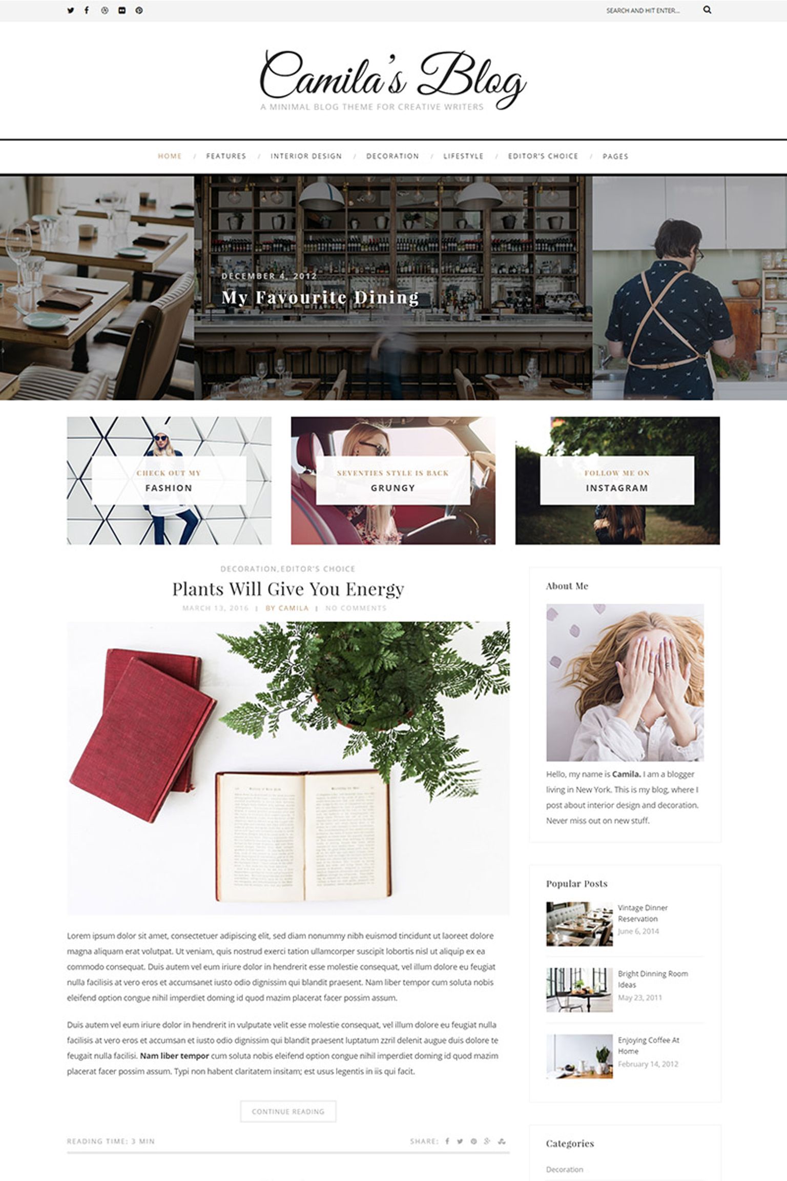 Camila - Minimal Blog WordPress Theme - screenshot