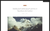 Laterna Photography Premium Website Theme Small Screenshot Laterna Photography Website Template