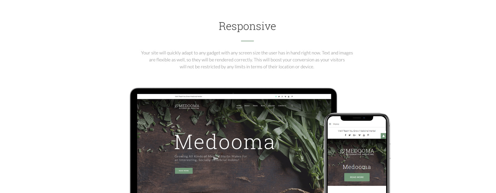  Medooma - Alternative Medicine Joomla Template