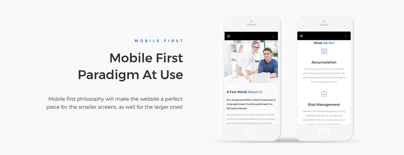 бухгалтер эксперт отзывчивая тема wordpress