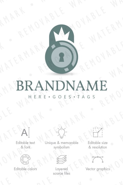 Template #66085 Security Key Webdesign Template - Logo template Preview