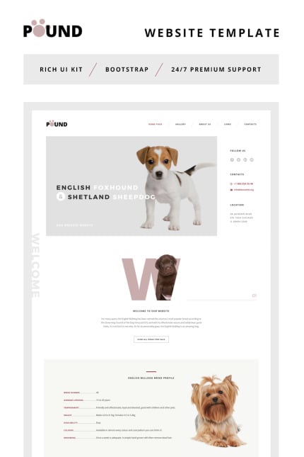 Template #66126 Animal Care Webdesign Template - Logo template Preview