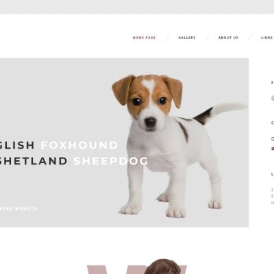 Animal Shelter Website Template PSD - Download PSD Animal shelter website templates
