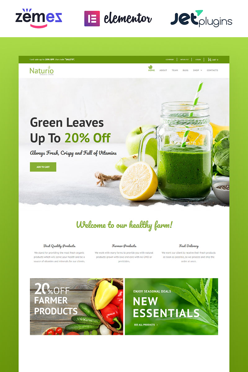 "Naturio Food Store Template Elementor" - адаптивний WooCommerce шаблон №66344