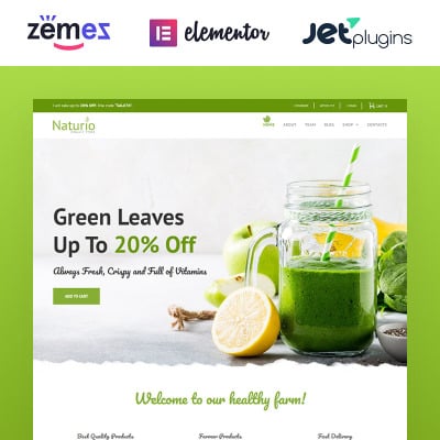 Naturio Food Store Template WooCommerce Theme #66344