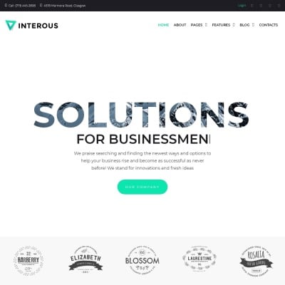 WordPress thema over Adviesbureau #66493