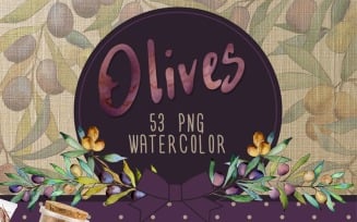 Olive Tree PNG Watercolor - - Illustration