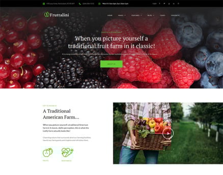 Fruttalini - Organic Fruit Farm Responsive WordPress Theme