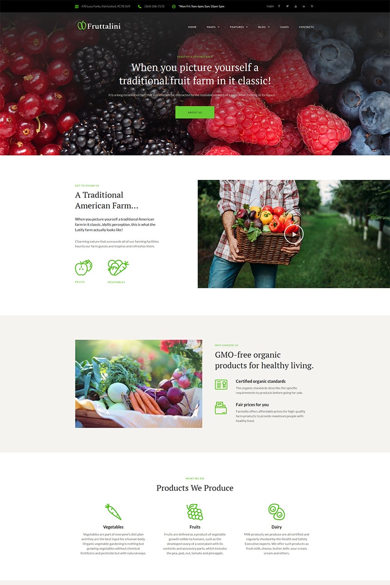 Tema De WordPress "Fruttalini - Organic Fruit Farm Responsive" #67793 - captura de pantalla