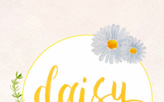 60 Watercolor Daisy Painted Graphics - Illustration