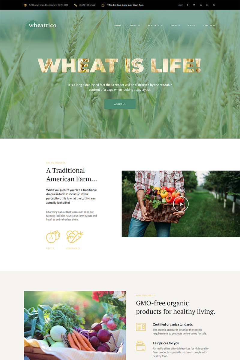 Responsywny motyw WordPress Wheattico - Crop Farm Responsive #67924 - zrzut ekranu