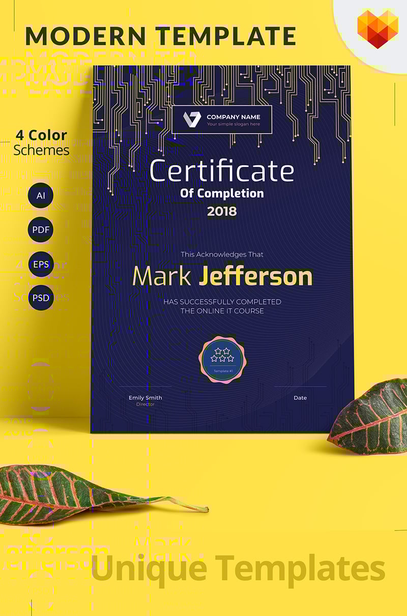 Certificate of Completion Certificate Template 68046