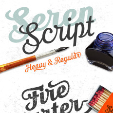 fonts and icon fonts templatemonster