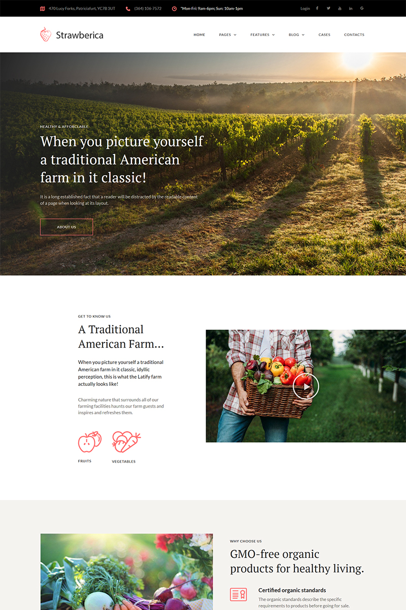 Tema De WordPress "Strawberica - Vegan Farm Responsive" #68283 - captura de pantalla