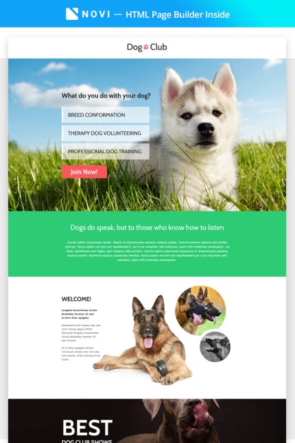 Template #68447 Animal Care Webdesign Template - Logo template Preview