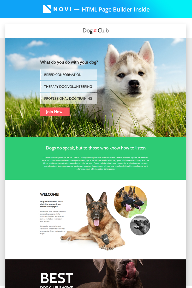 Modello di Landing Page Responsive #68447 "Dog Club - Dog Breeder Compatible with Novi Builder" - screenshot