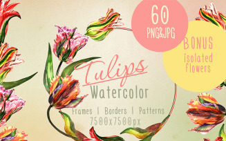 Colorful Tulips PNG Watercolor Set - Illustration