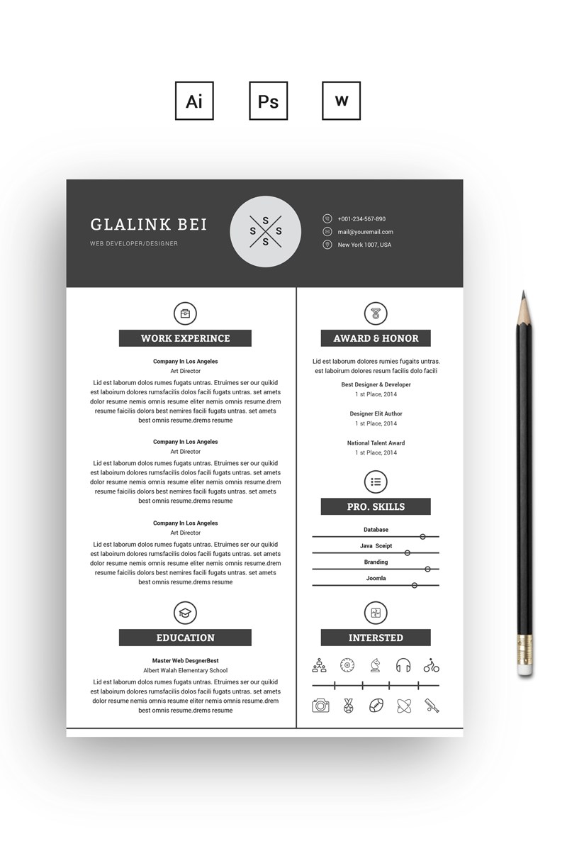 2 Pages Glalink Resume Template