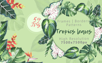 Tropics Leaves JPG Watercolor Set - Illustration