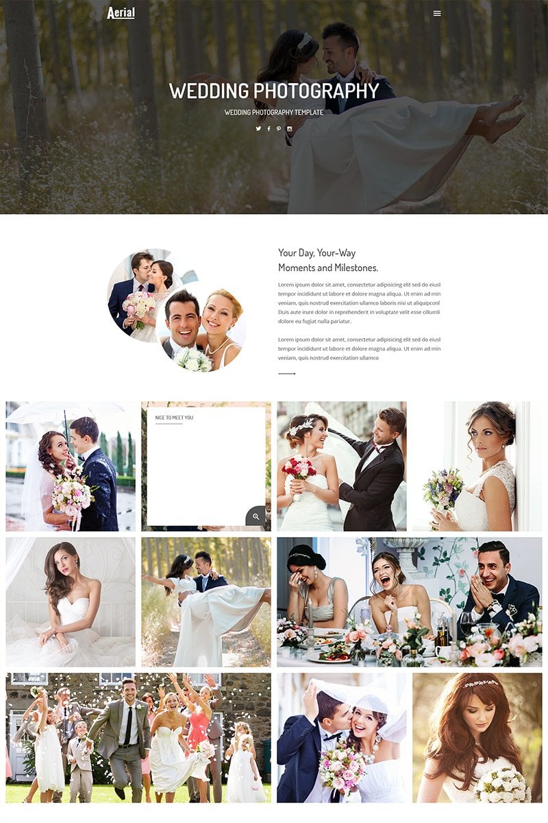 Responsive Aerial - Wedding Photography Web Sitesi #68821 - Ekran resmi