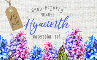 Colorful Hyacinth PNG Watercolor - Illustration