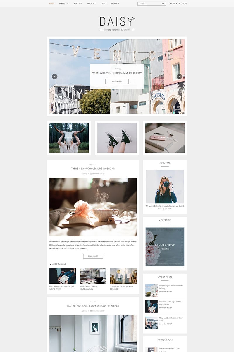 Daisy - Exquisite Blog WordPress Theme - screenshot