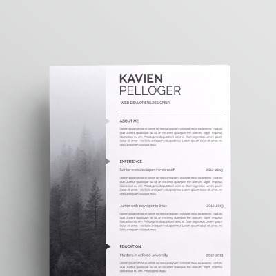 Kavien Pelloger-cv Resume Template