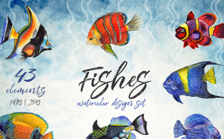 Sea Fishes PNG Watercolor Set - Illustration