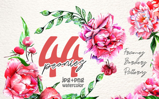 Lovely Pink Peony PNG Watercolor Set - Illustration