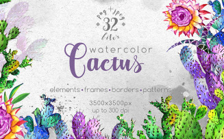 Watercolor Cactuses - PNG Wildflower - Illustration