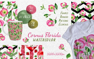 Cornus Florida Flowers PNG Watercolor Set - Illustration
