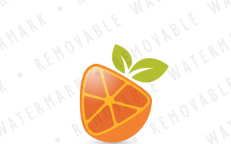 Citrus Fruit Media Logo Template