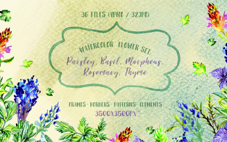 Bouquet of Herbs PNG Watercolor Set - Illustration