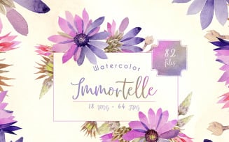 Purple Immortelle PNG Watercolor Set - Illustration