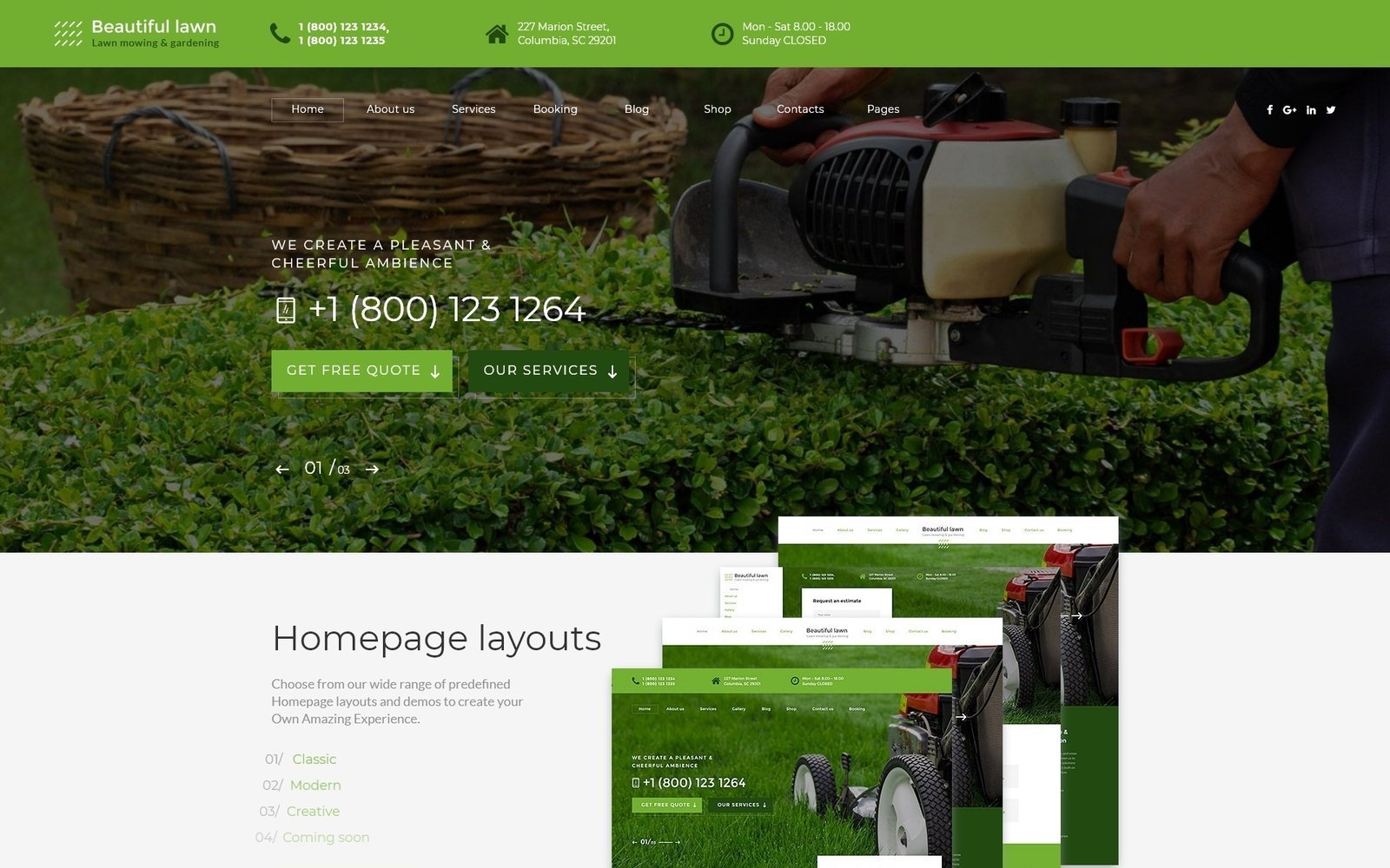 "Beautiful Lawn - Lawn Moving And Gardening" Responsive Website template №70530