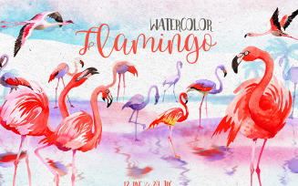 Watercolor Pink Flamingo PNG Set - Illustration