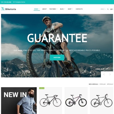 Responsives WooCommerce Theme für  Fahrrad Shop