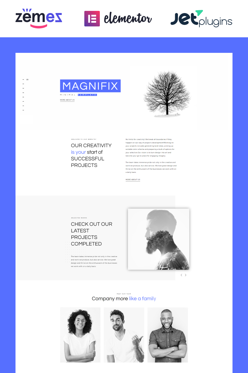 Magnifix - Minimal Parallax WordPress Theme - screenshot