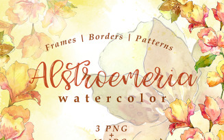Watercolor Yellow Alstroemeria Flower PNG Set - Illustration