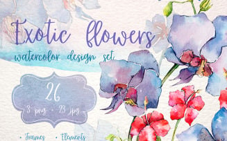 Exotic Red and Blue Orchids PNG Watercolor Set - Illustration