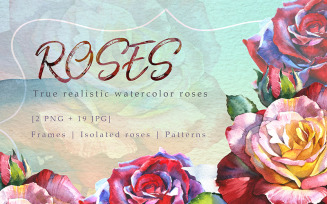 Realistic Watercolor Red Roses PNG Set - Illustration