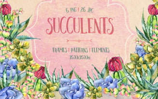 Succulents PNG Watercolor Set  - Illustration