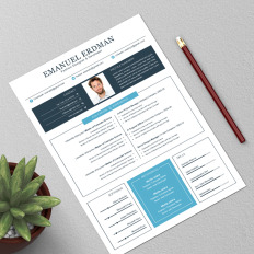it resume templates templatemonster
