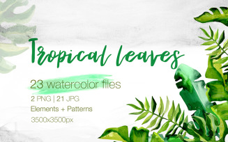 Succulent Tropical Leaves PNG Watercolor Set - Illustration