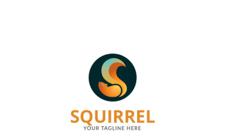 Squirrel Color Logo Template