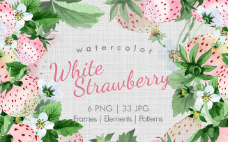 White Strawberry PNG Watercolor Fruit Set - Illustration