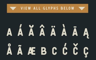 Berringer - Vintage Type Family Font