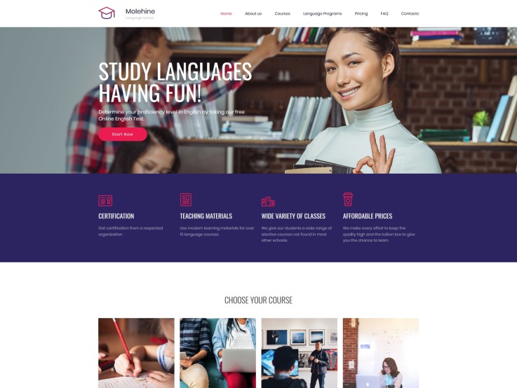 Education Website Design - Molehine | TemplateMonster