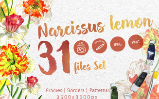 Narcissus Lemon PNG Watercolor Flower Set - Illustration